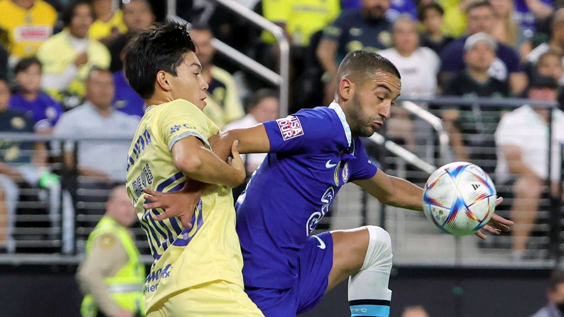 的培养与发 的培养与发